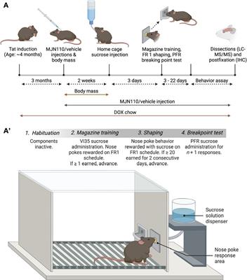 A helping HAND: therapeutic potential of MAGL inhibition against HIV-1-associated neuroinflammation